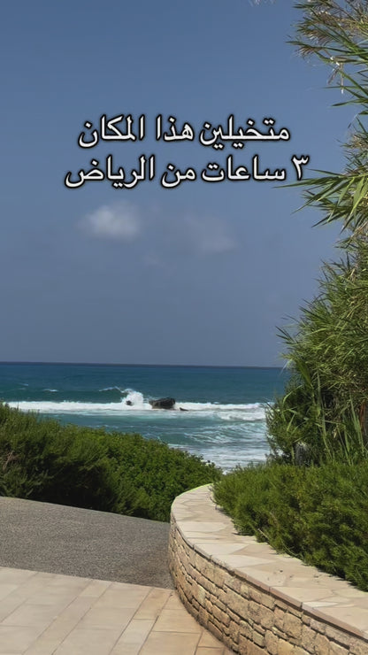 Ashwag Alsalem